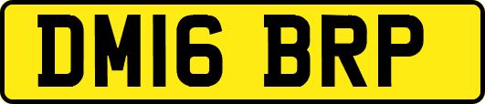 DM16BRP