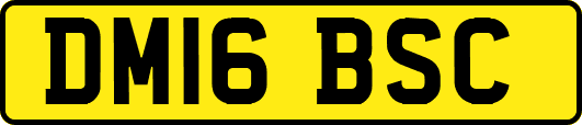 DM16BSC