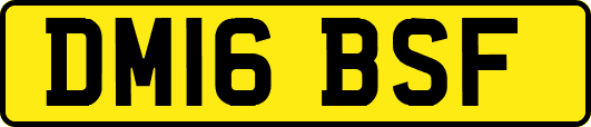 DM16BSF