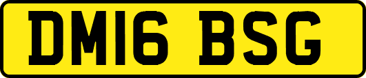 DM16BSG