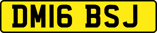 DM16BSJ