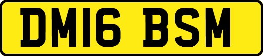 DM16BSM