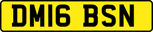 DM16BSN