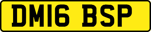 DM16BSP