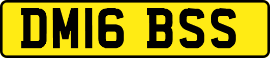 DM16BSS
