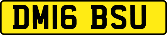 DM16BSU