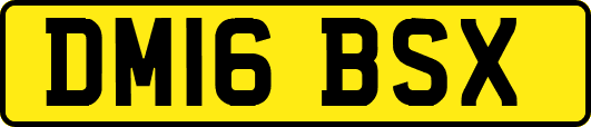 DM16BSX