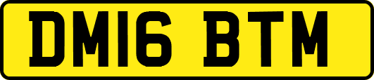 DM16BTM