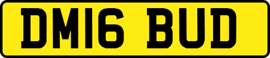 DM16BUD