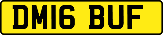DM16BUF