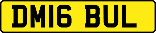 DM16BUL