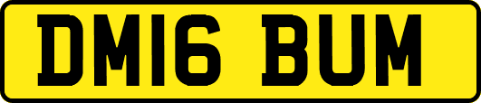 DM16BUM