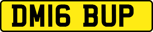 DM16BUP
