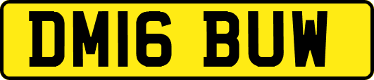 DM16BUW