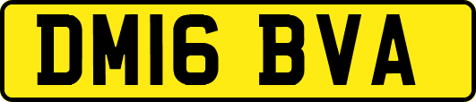 DM16BVA