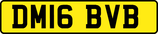 DM16BVB