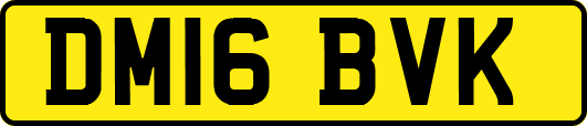 DM16BVK
