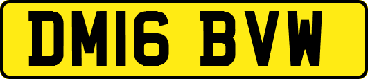 DM16BVW