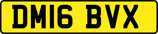 DM16BVX