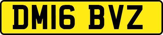DM16BVZ