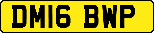 DM16BWP