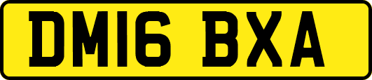DM16BXA