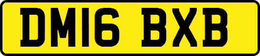 DM16BXB