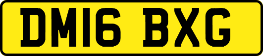 DM16BXG