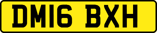 DM16BXH