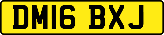 DM16BXJ