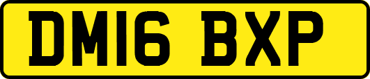 DM16BXP