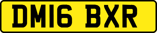 DM16BXR
