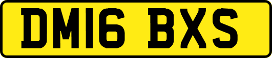 DM16BXS