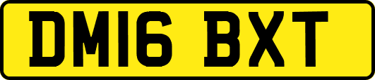 DM16BXT