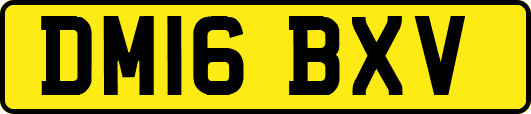 DM16BXV