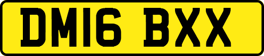 DM16BXX