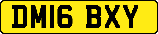DM16BXY