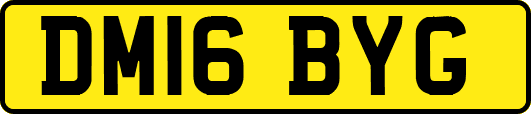 DM16BYG