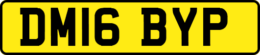 DM16BYP