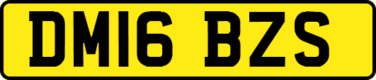 DM16BZS