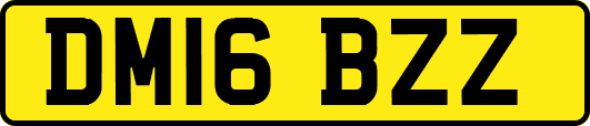 DM16BZZ