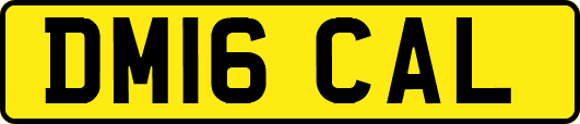 DM16CAL