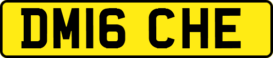 DM16CHE