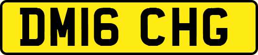 DM16CHG