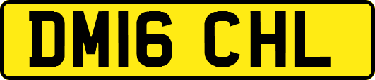 DM16CHL