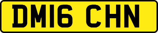 DM16CHN