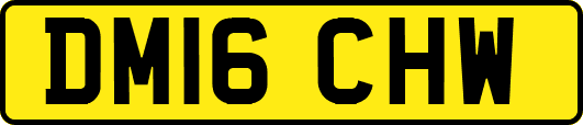 DM16CHW