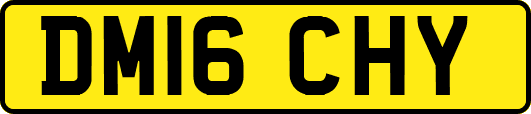 DM16CHY