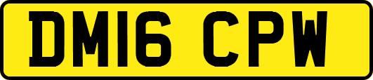 DM16CPW