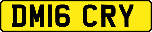 DM16CRY